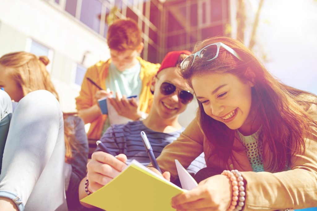 Scuole private a Aiello del Sabato
